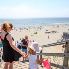 strand2018
