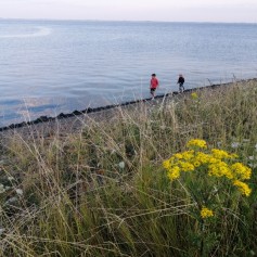 Oosterschelde2.jpg
