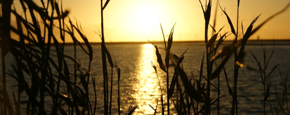 zonsondergang