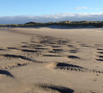 i-phone Tonny 12-2013 1-2014 077.JPG