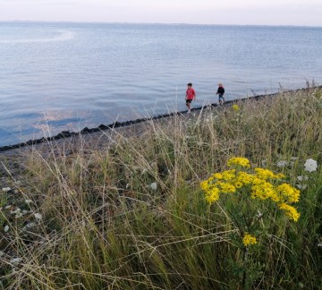 Oosterschelde2.jpg