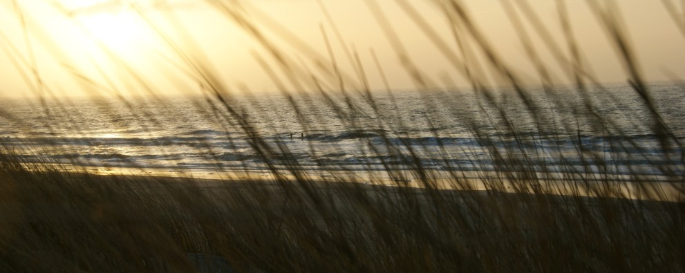 DSC08638.JPG DSC08638.JPG